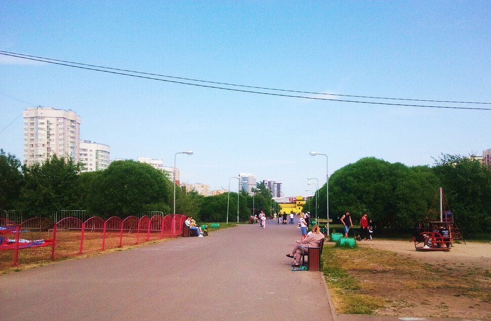 В парке летом