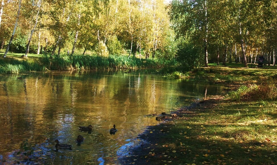 У озерца в сентябре