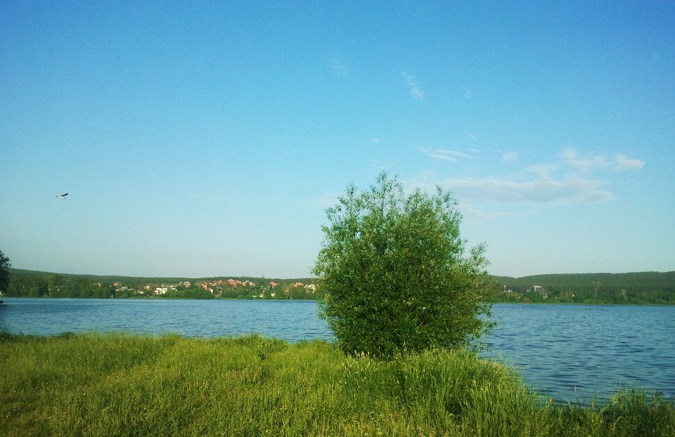 У реки
