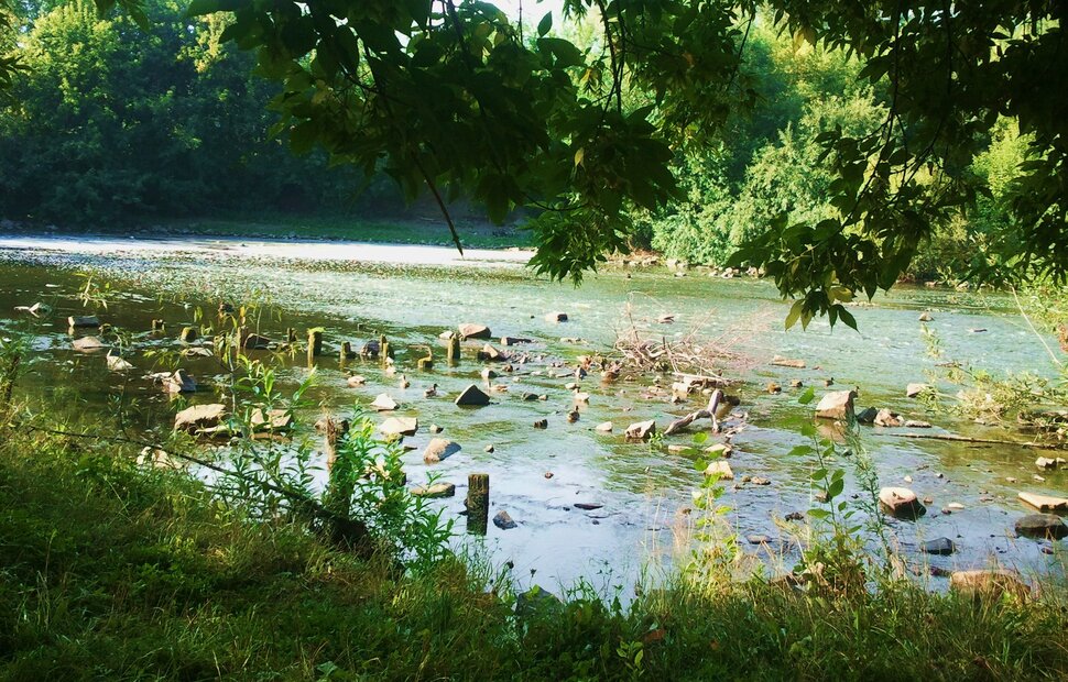 У реки