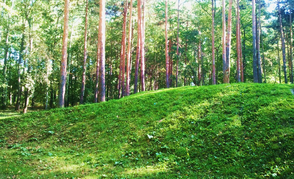 У лесного холмика