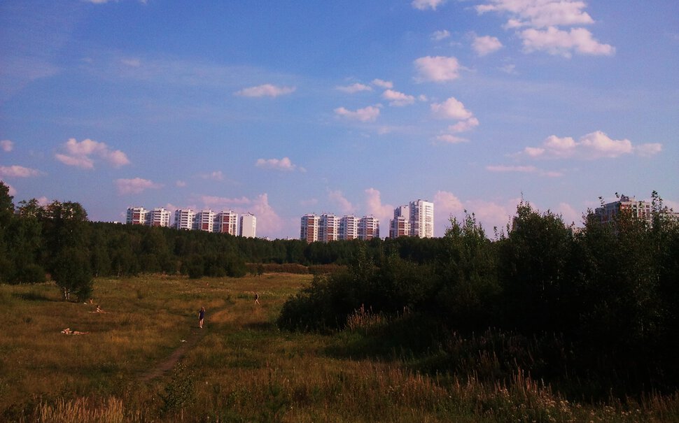 В овраге