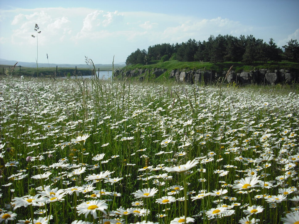 Водохранилище. 2010. Апаран.Армения