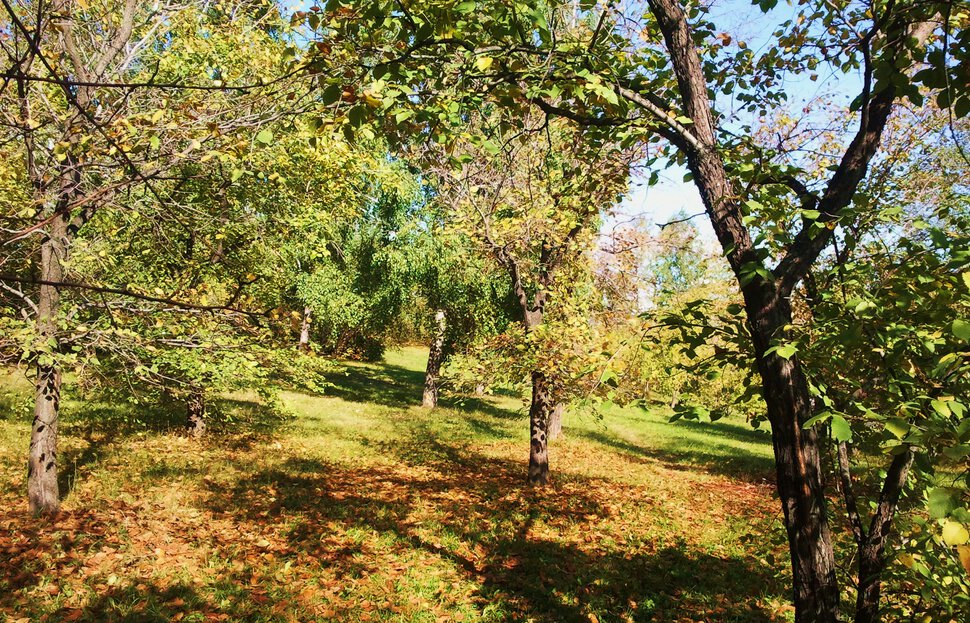 На склоне осенью