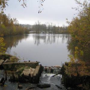 Осеннее утро - Фото Дом Солнца