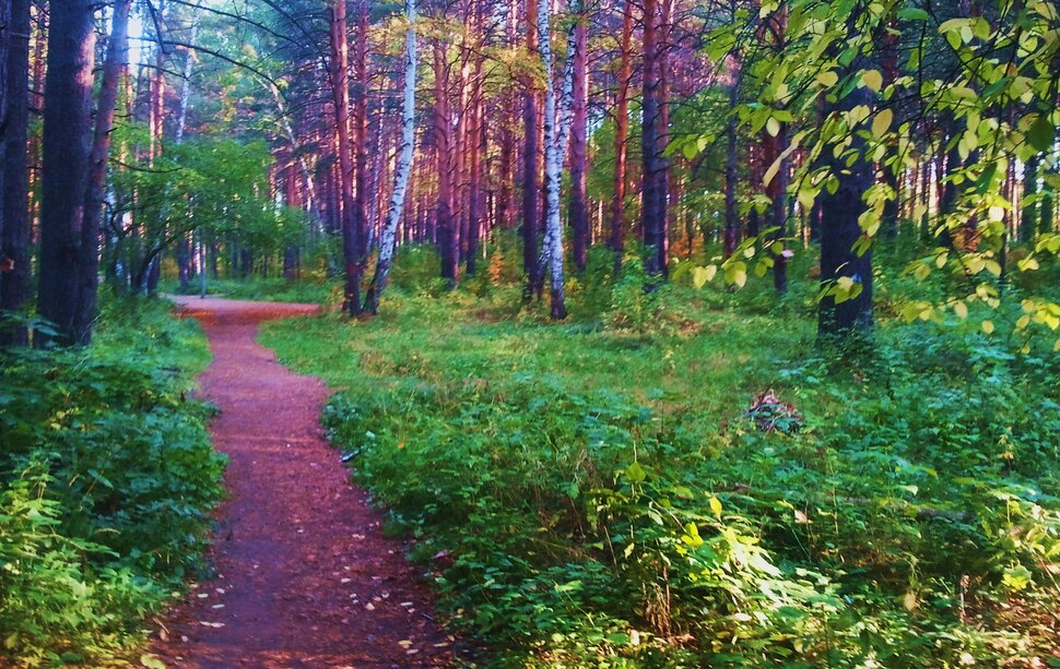 Сентябрь