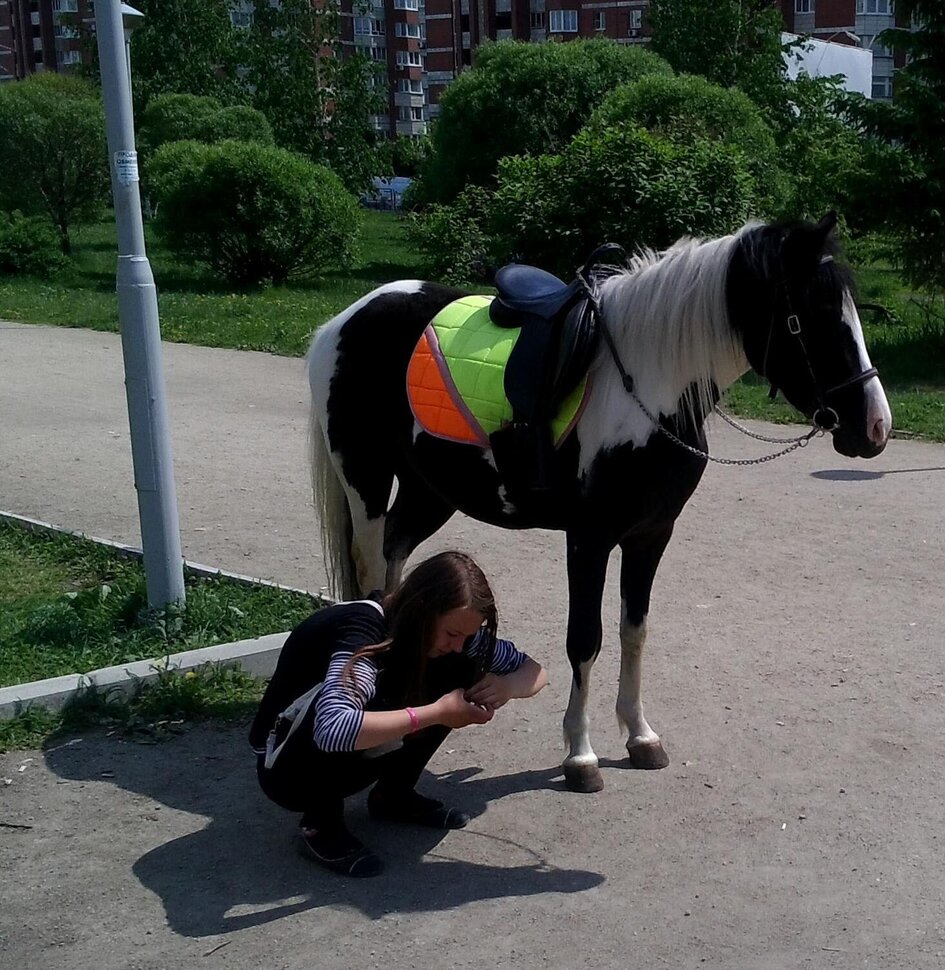 Транспорт подан