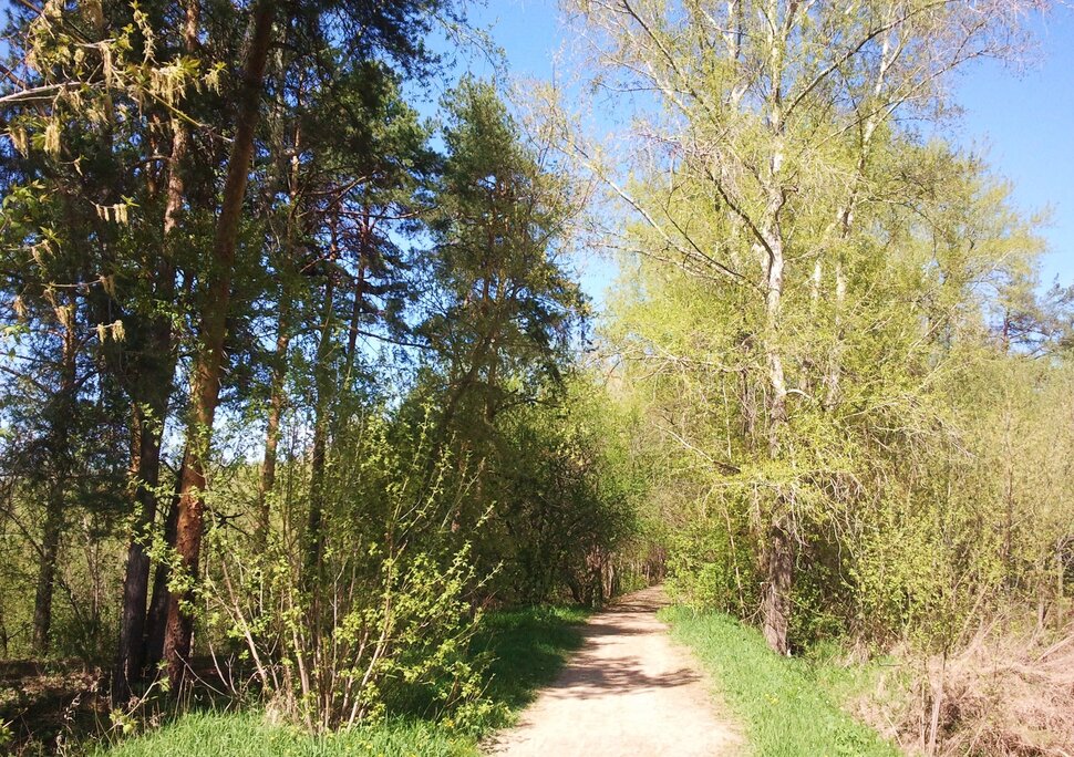 Весна