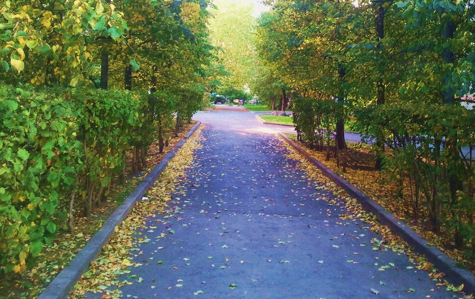 По осенней дорожке