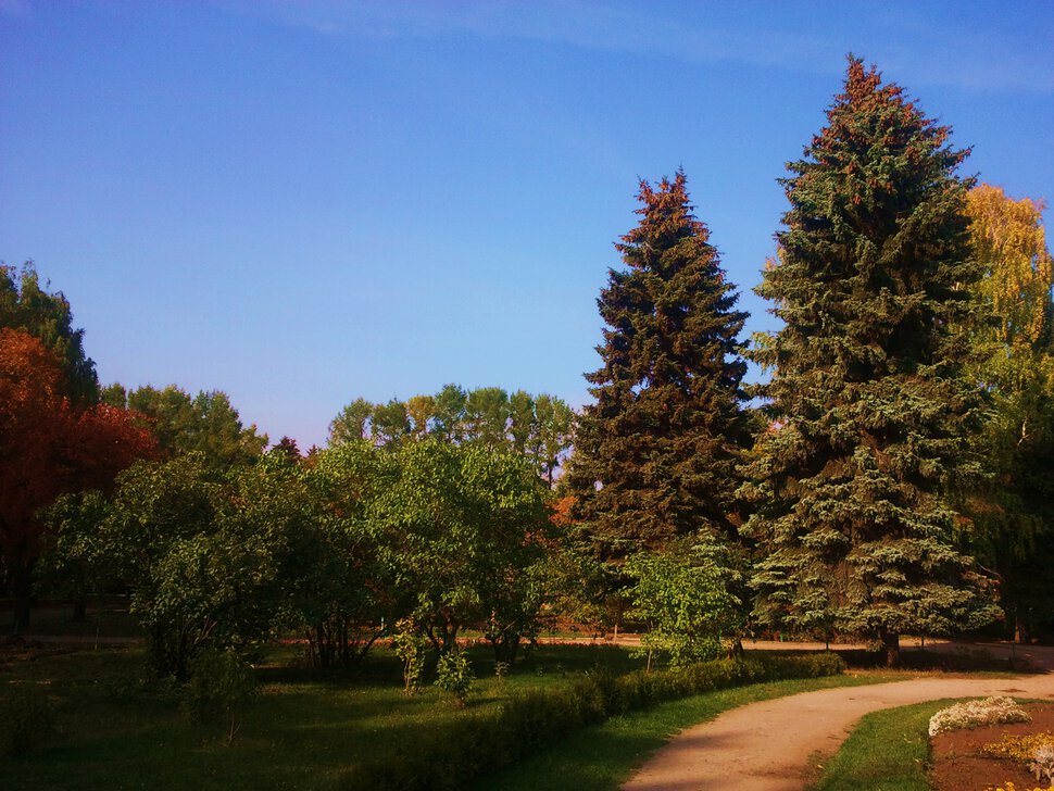 В парке осень