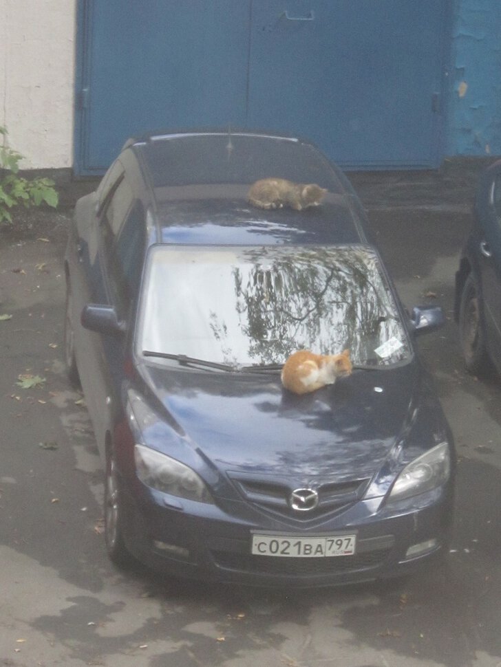 Отдых