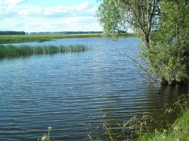 Природа Воронежской области
