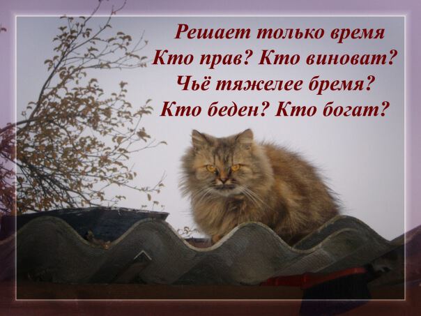 Решает только время