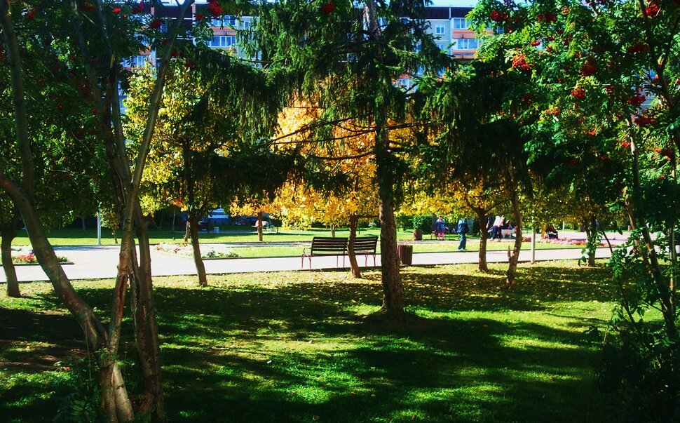 Сентябрь