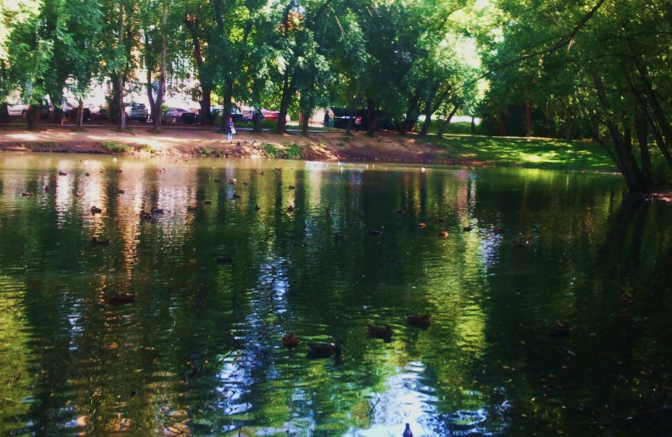 У озерца