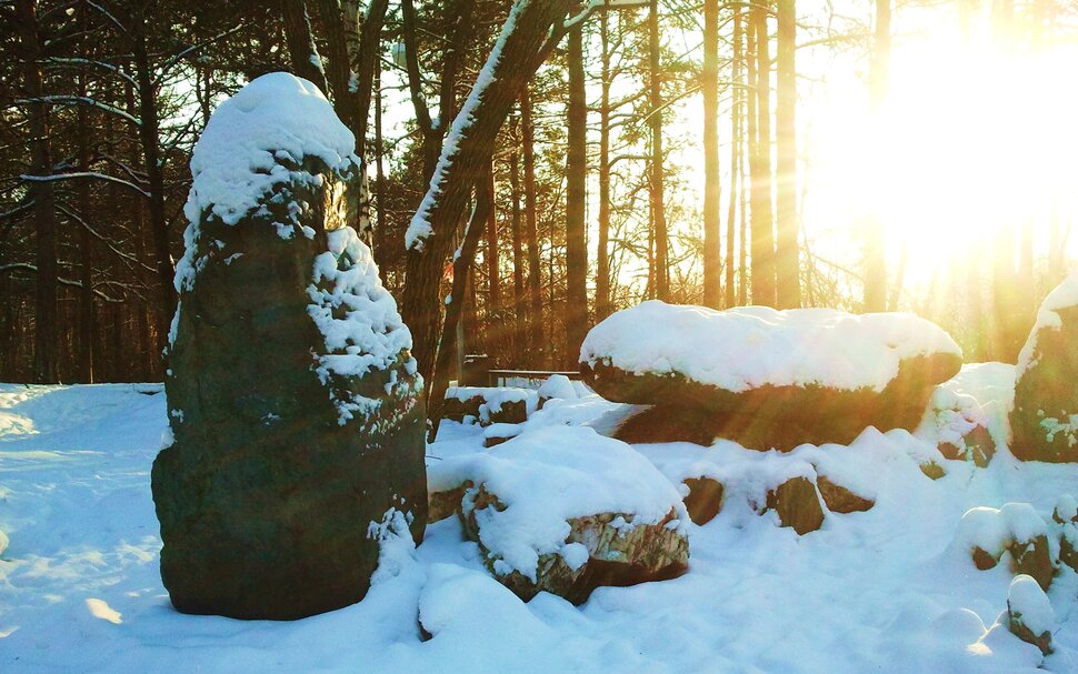 В зимнем парке