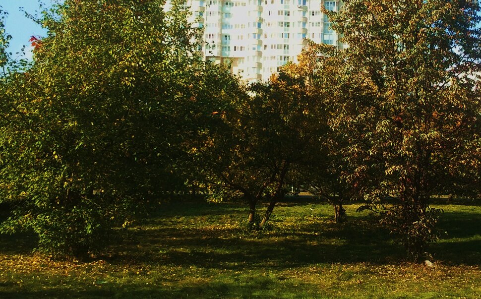 Сентябрь