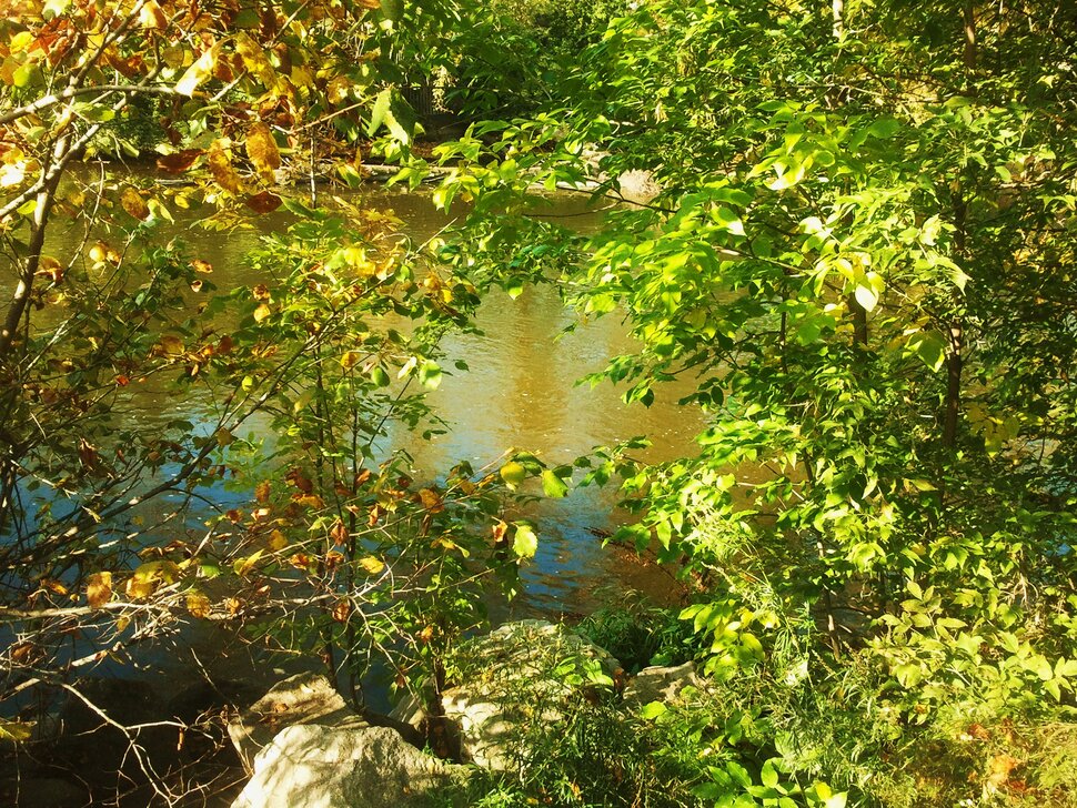 У реки