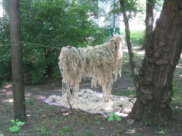 Готовимся к зиме, сушим шерсть