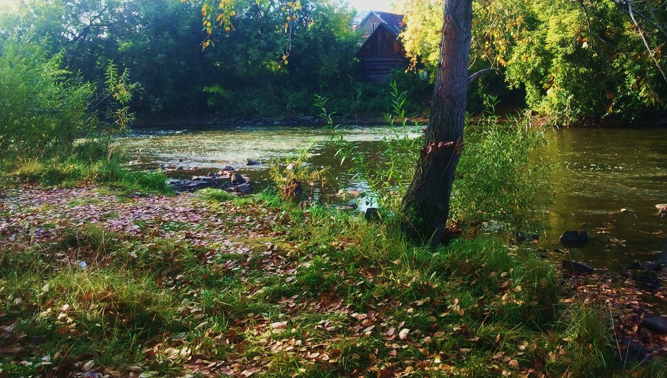Осенью у реки