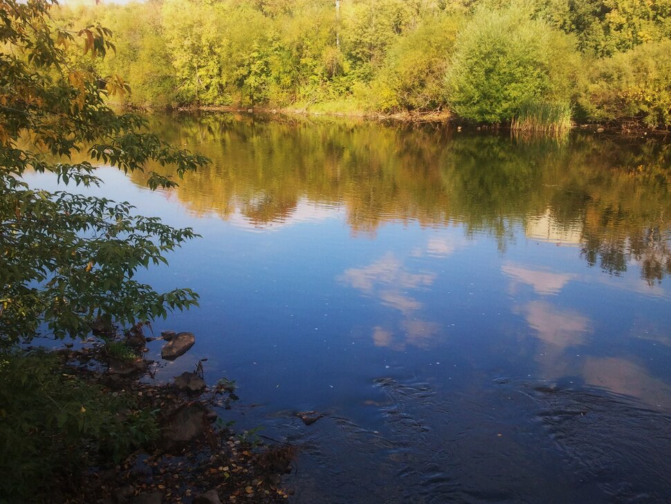 Осенью у реки