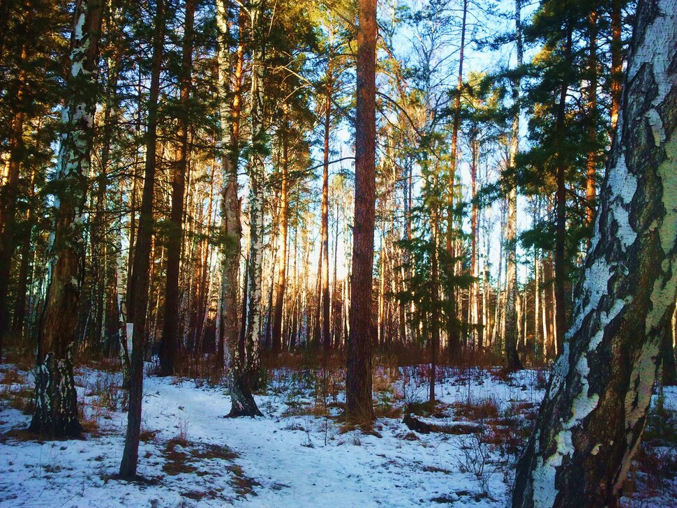 Рассвет