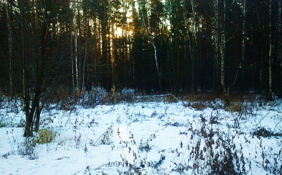Трудно солнышку