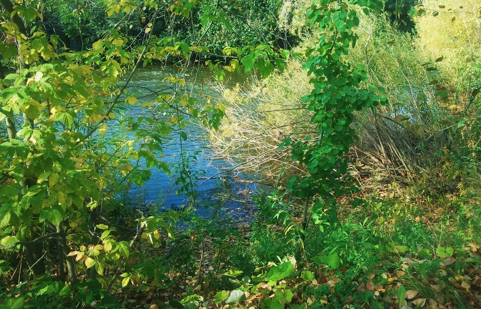 У реки