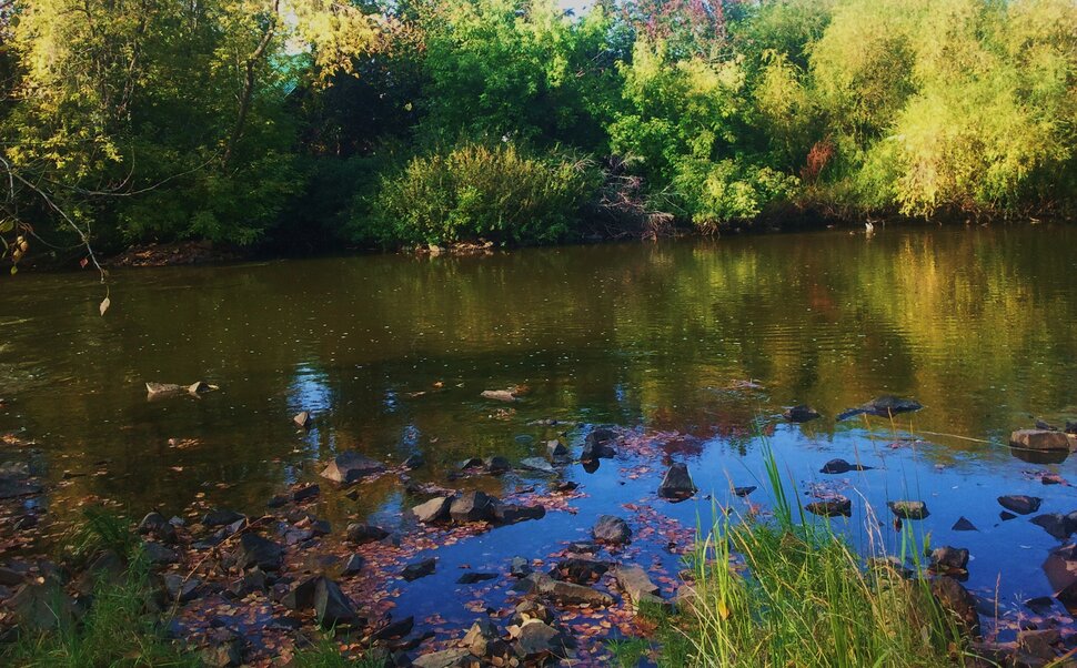 Осенью у реки
