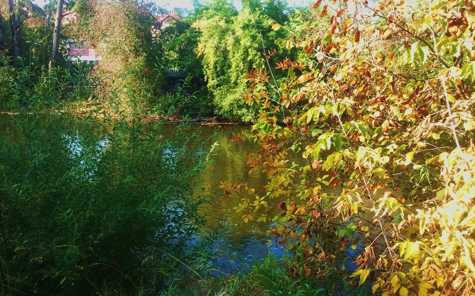 Осенью у реки