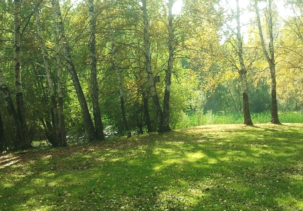 По лесочку