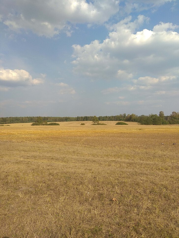 Сентябрь, вечер