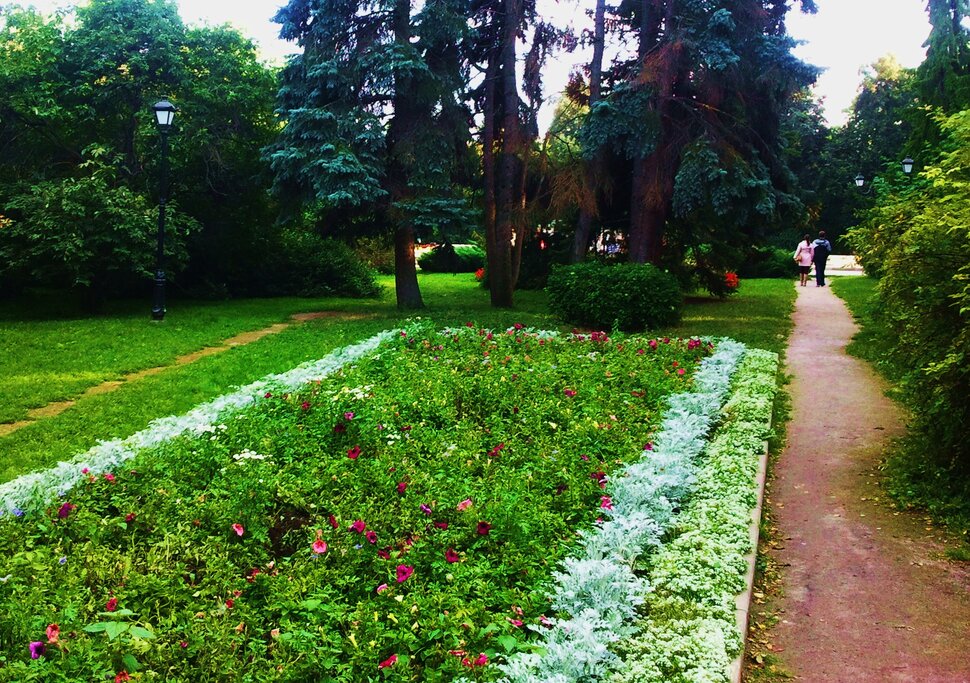 В дендрарии