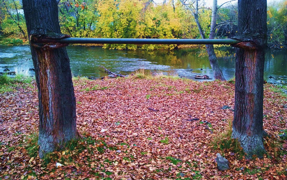 Турник, осень и река