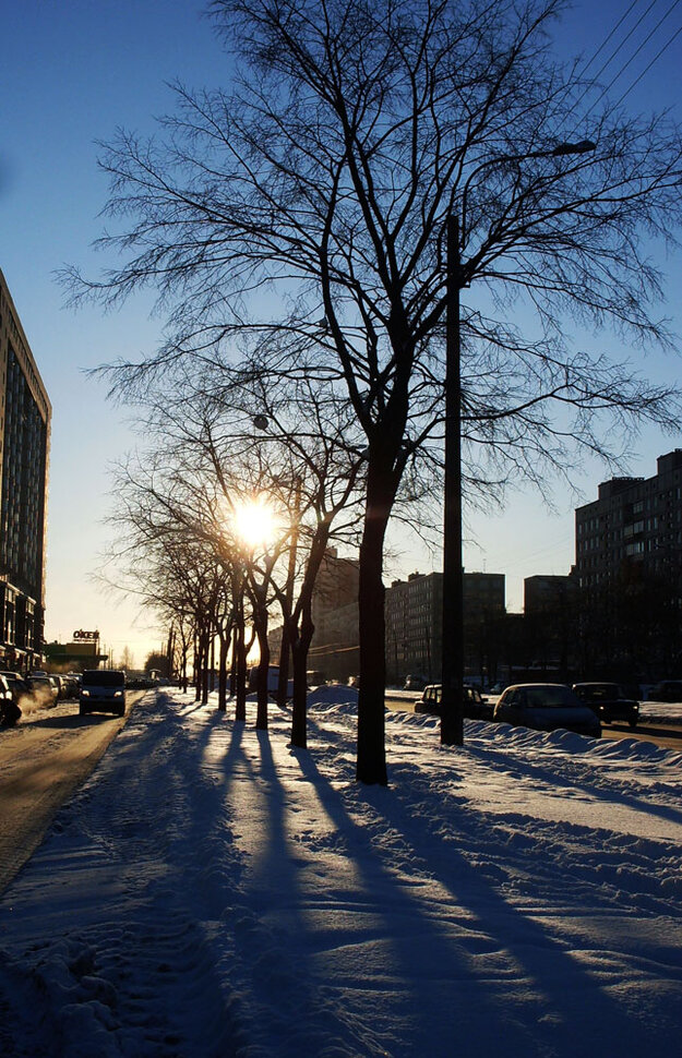 Утренние тени. В спальном районе