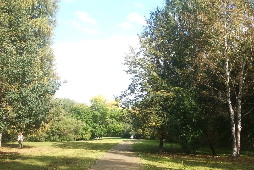 В парке