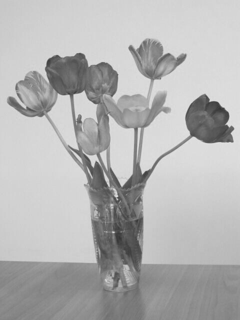 Букет тюльпанов разных