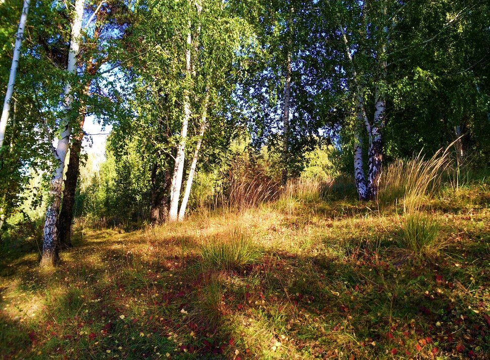 Сентябрь