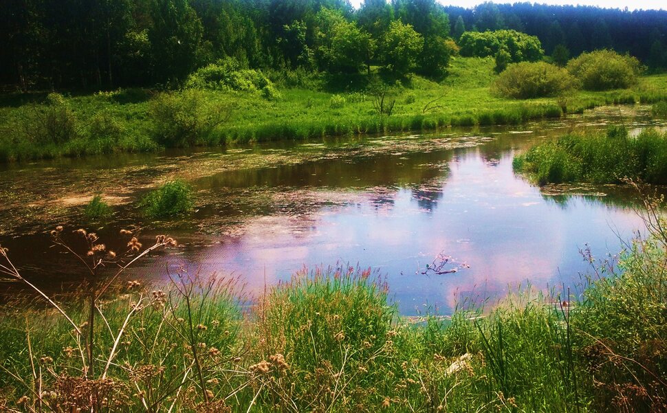 У реки