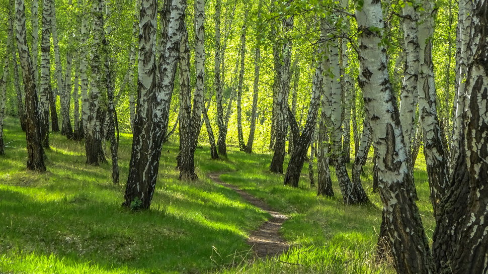 май и его красоты