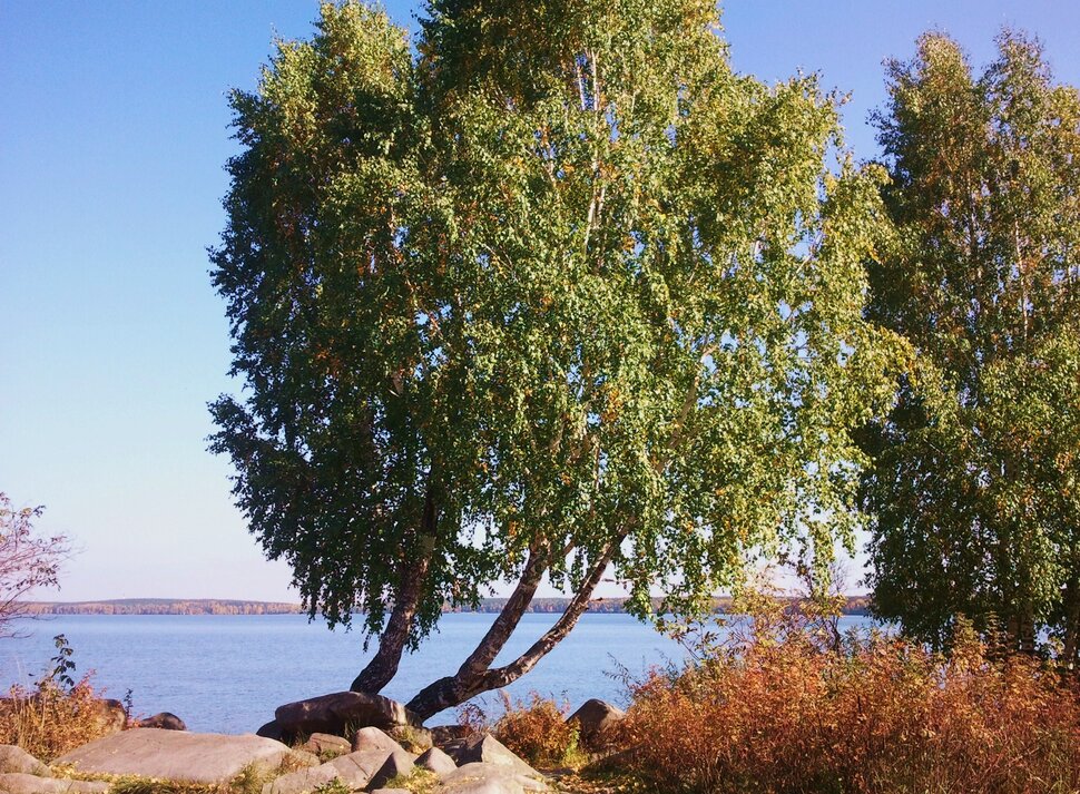 У озера