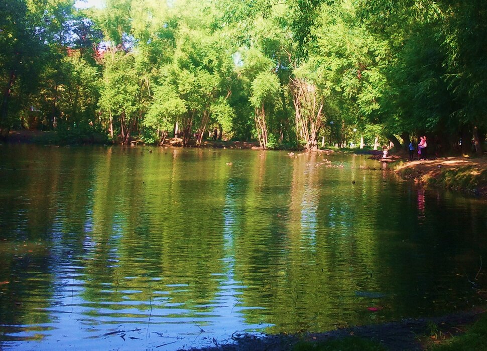 У воды
