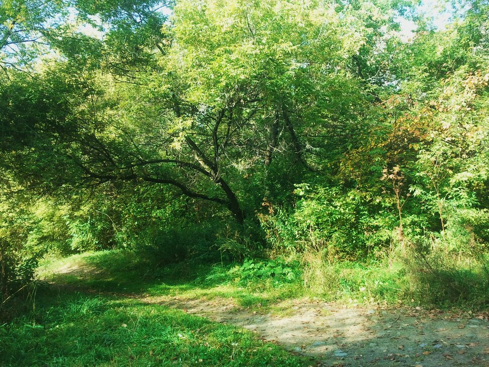 Сентябрь