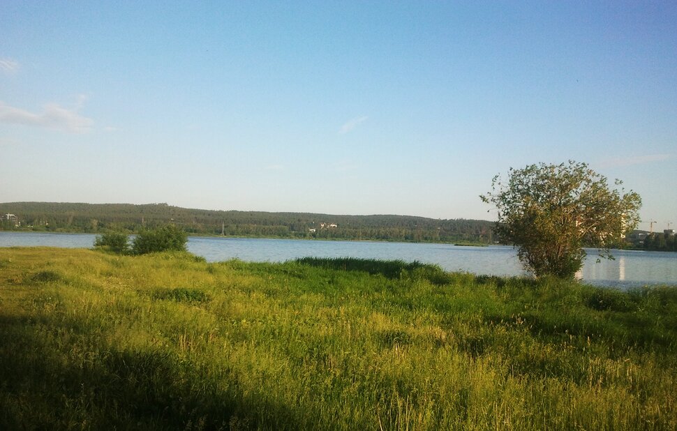 У реки