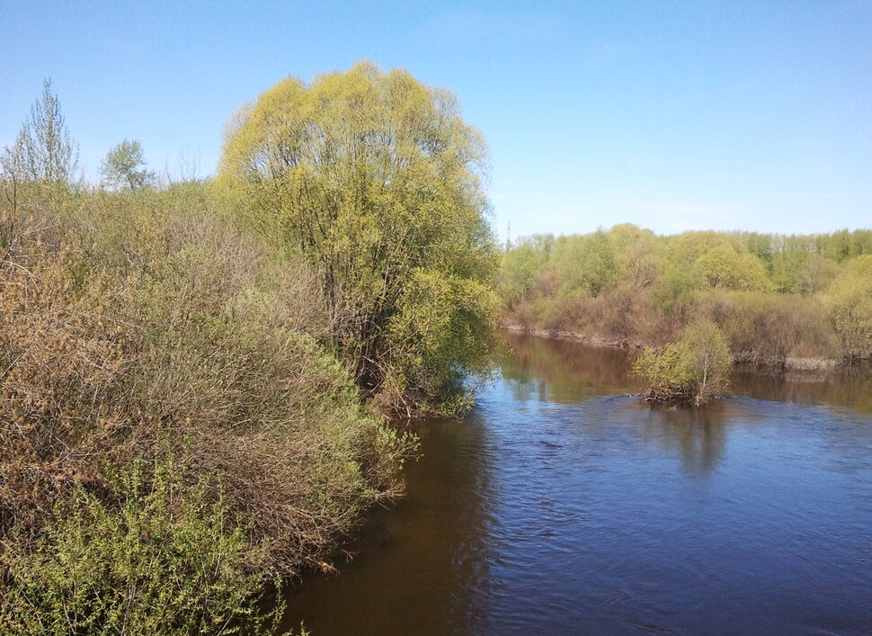 У реки