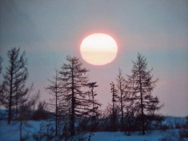 Январское солнце после зимей спячки на Крайнем севере