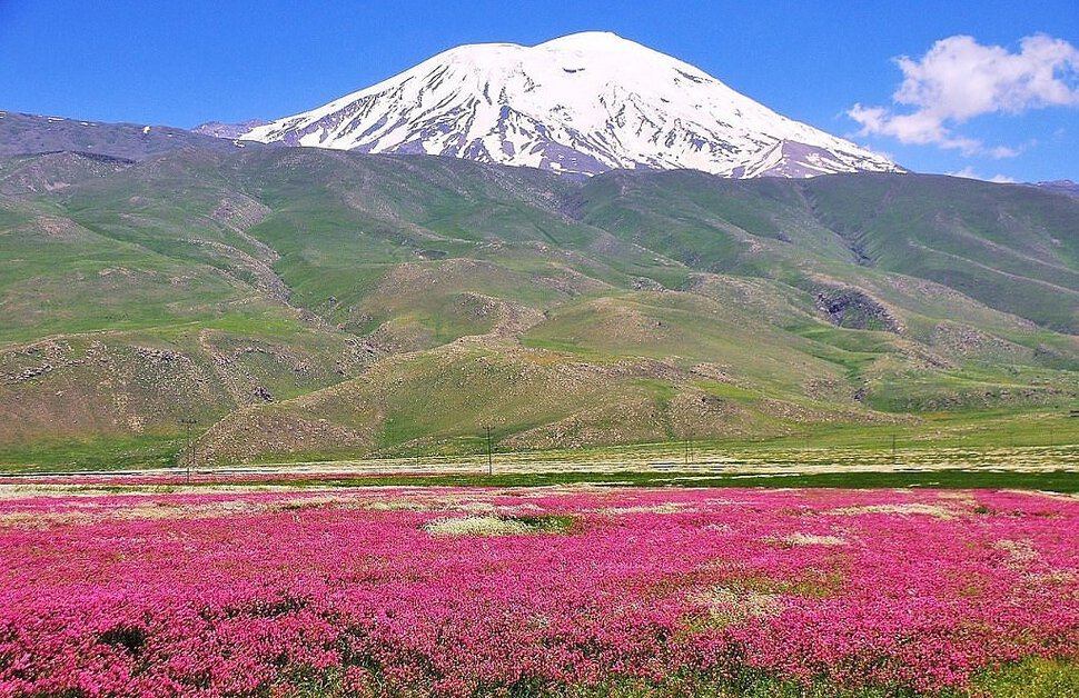 Ararat