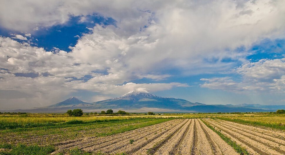 Ararat