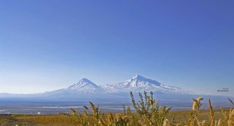 Ararat