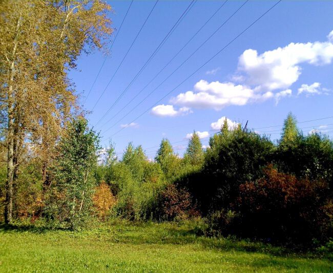 С природой